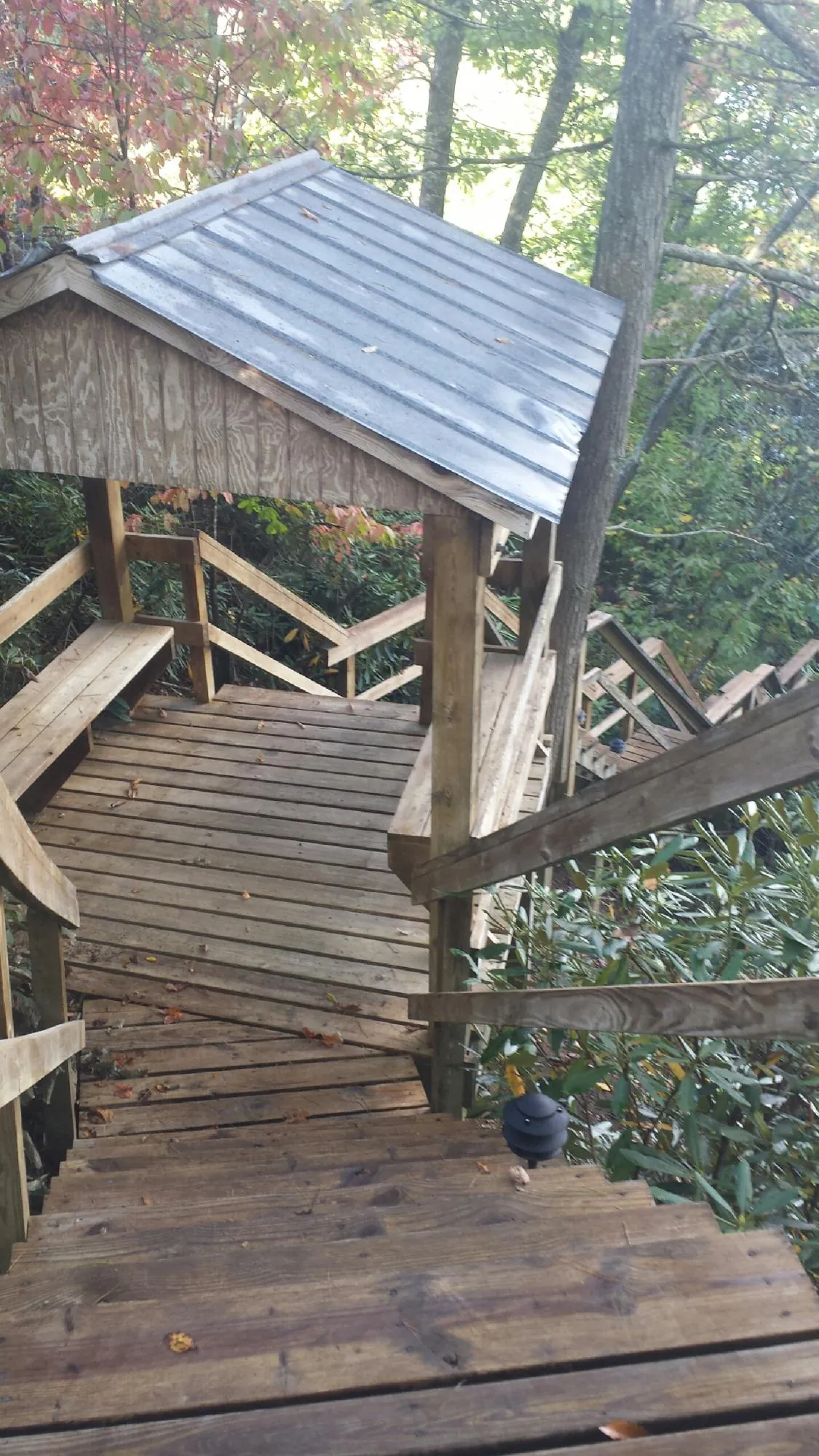 Metal roofed shelter over wooden steps on a wooded walkway — Skylight Repair & Installation work by our crew in Dameron